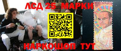 шишки Кандалакша