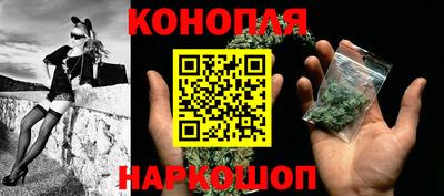 шишки Кандалакша