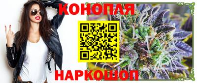 шишки Кандалакша