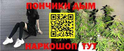 индика Коломна