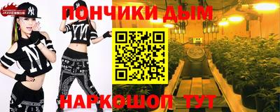 шишки Кандалакша