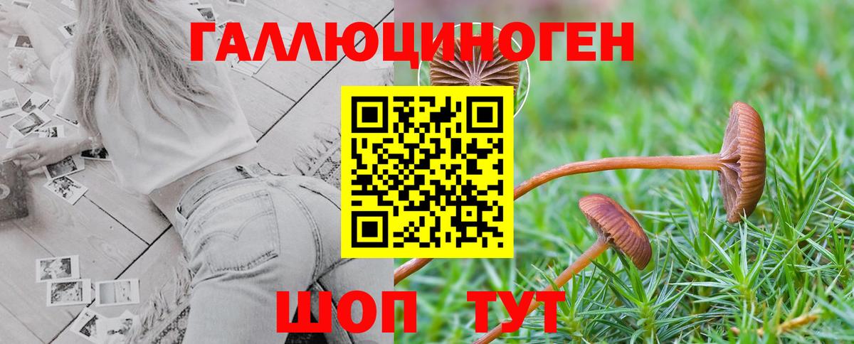 Галлюциногенные грибы GOLDEN TEACHER Кыштым